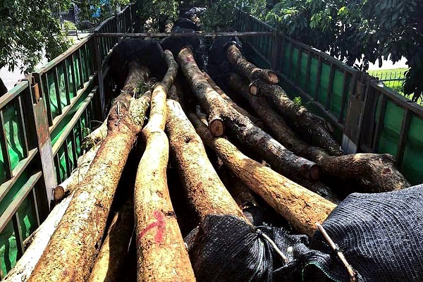 Gia Lai: Tạm giữ xe chở hàng chục cây gỗ hương đi tiêu thụ