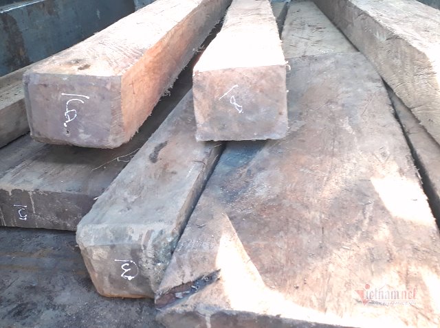 Bình Định: Phát hiện chở gỗ lậu, 2 đối tượng hành hung công an