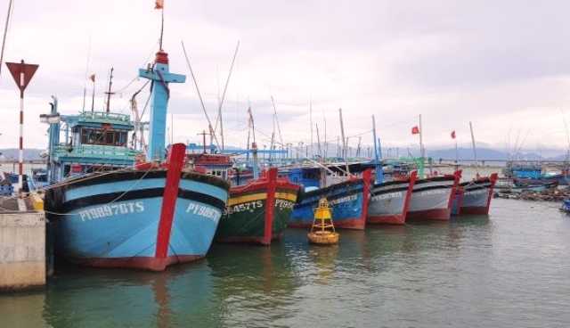 C&aacute;c phuopwng tiện tuy h&ograve;a