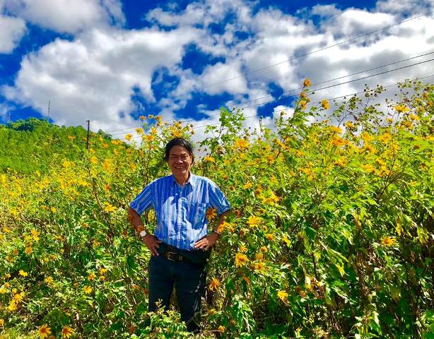 Hoa tình yêu dã quỳ tại vùng đất đại ngàn Gia Lai