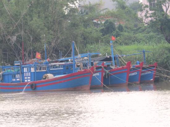 T&agrave;u c&aacute; ngư d&acirc;n Tuy H&ograve;a v&agrave;o nơi neo đậu an to&agrave;n