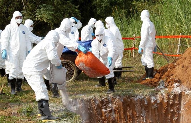 Thanh Hóa: Còn 219 xã chưa công bố hết dịch tả lợn châu Phi