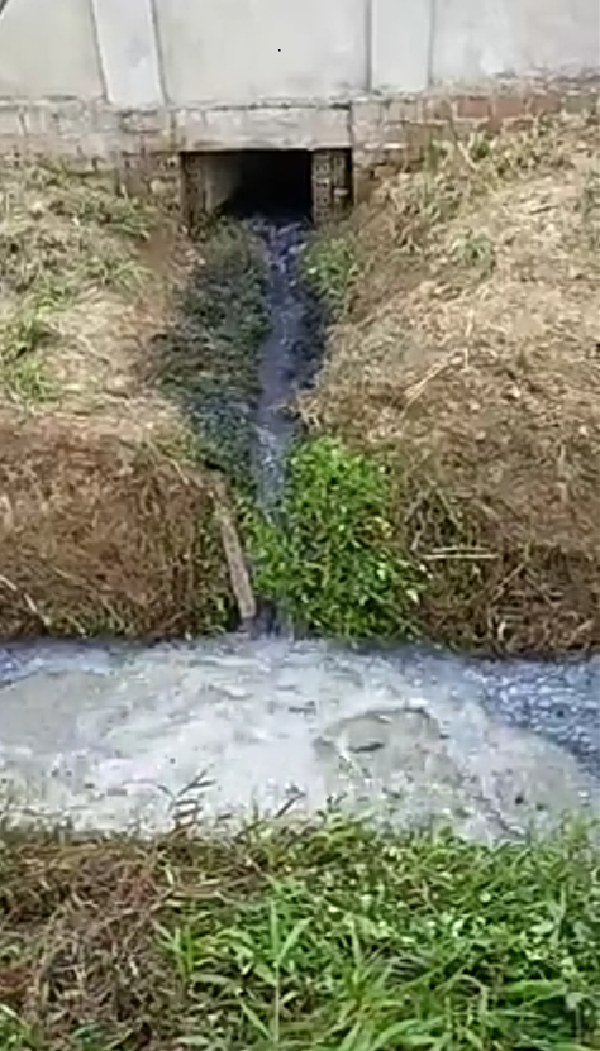 Bỉm Sơn (Thanh Hóa): Người dân bức xúc vì Công ty Bao bì xi măng Long Sơn xả thải ra môi trường