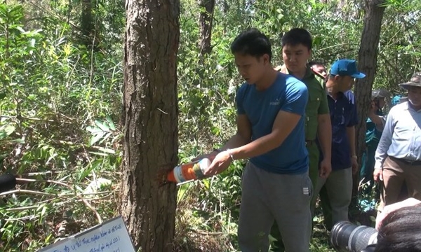 Khi buôn làng đồng thuận giữ rừng