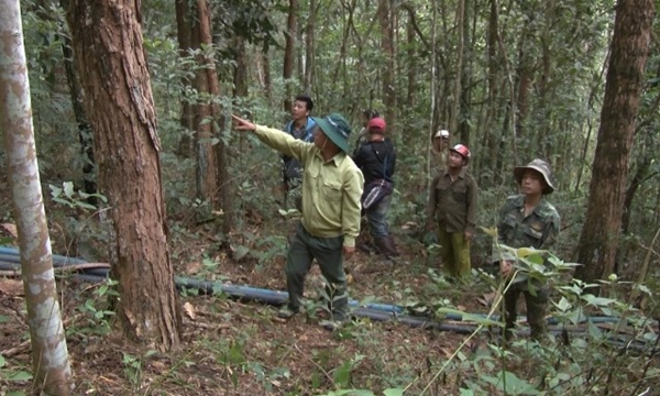việc quản l&yacute; bảo