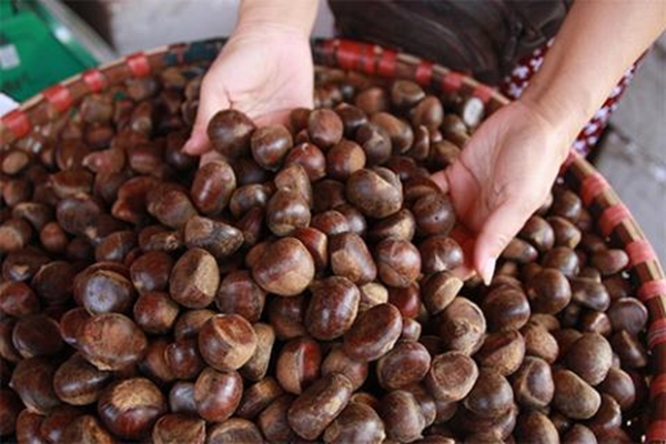 Hạt dẻ được bày bán trên thị trường