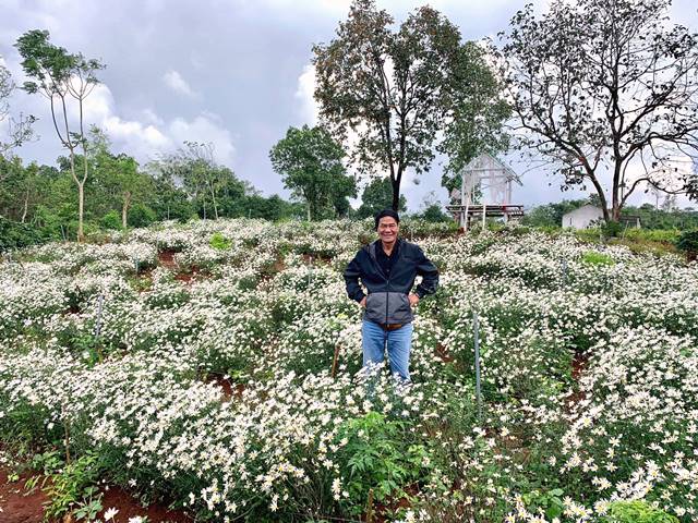Quảng Trị: Thăm đồi hoa cúc họa mi ở thị trấn Khe Sanh