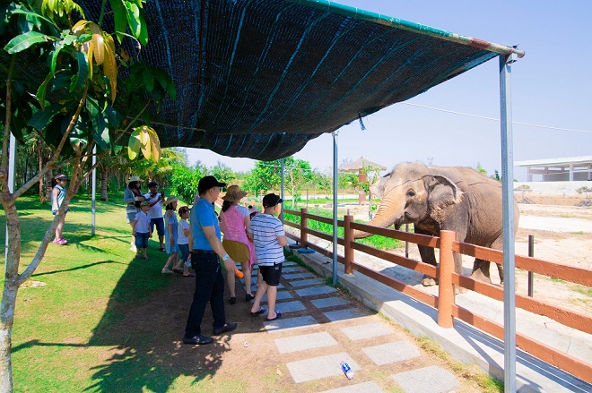Khu Kid’s Club tại FLC Quy Nhơn có diện tích lớn nhất trong các quần thể, được mở cửa từ 8h00 – 21h00 để phục vụ các du khách nhí.