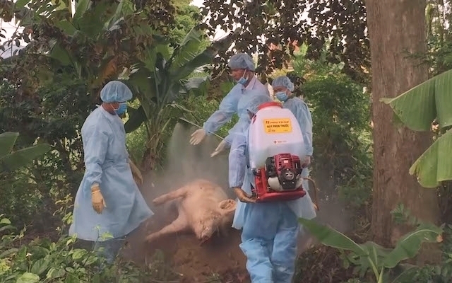 Lực lượng chức năng