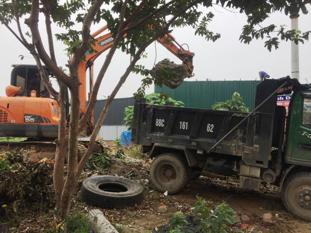 Huyện Vĩnh Tường (Vĩnh Phúc): Tiếp tục triển khai xử lý vi phạm Luật Đất đai