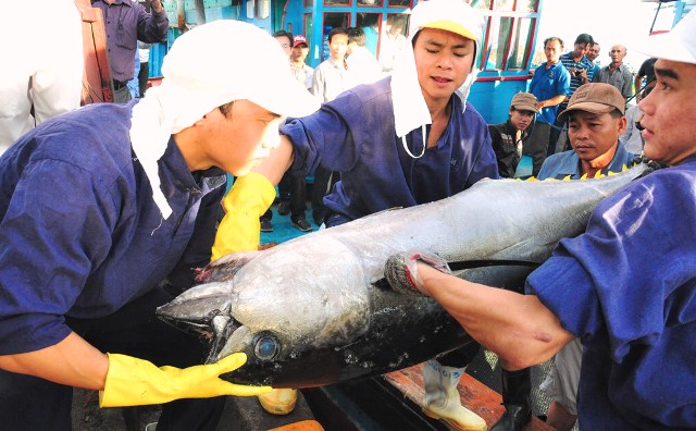 Bình Định: Quảng bá thương hiệu, sản phẩm 53 mặt hàng được công nhận sản phẩm OCOP