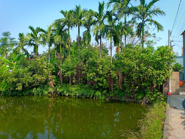 UBND huyện Tiên Lãng, Hải Phòng: Cấp “sổ đỏ” bằng “niềm tin”!