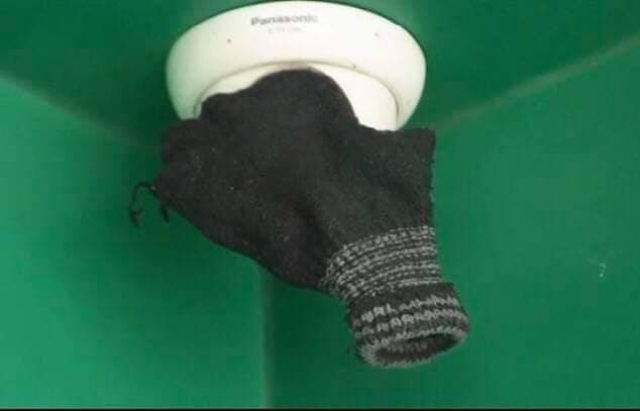 Kể gain d&ugrave;ng