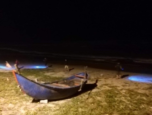Lực lượng chức năng vẫn đang tìm kiếm dọc bờ biển Tam Thanh.