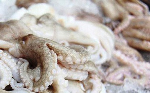 Tăng trưởng mạnh xuất khẩu mực, bạch tuộc Việt Nam sang Mỹ
