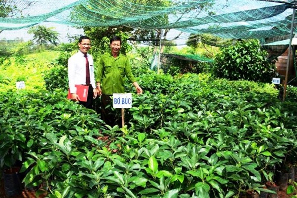 Agribank góp phần đưa nông nghiệp ứng dụng công nghệ cao, nông nghiệp sạch trở thành niềm tự hào của nền nông nghiệp Việt Nam