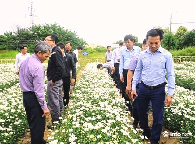 Thamquam m&ocirc; h&igrave;nh c&uacute;c