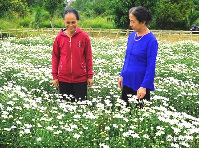 c&uacute; chọa i th&agrave;nh c&ocirc;ng