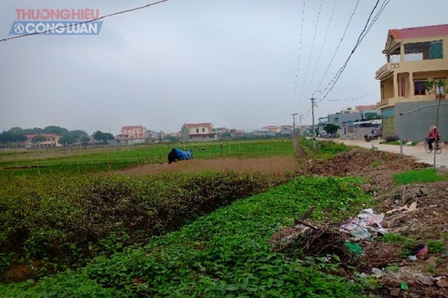 MBQH và khu đất xét cấp được giao không đúng đối tượng tại xã Hưng Lộc