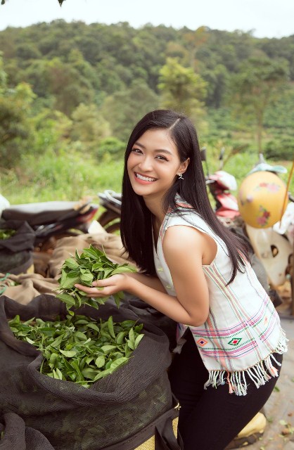 Hoa hậu đỗ mỹ linh Hoa hậu đỗ mỹ linh