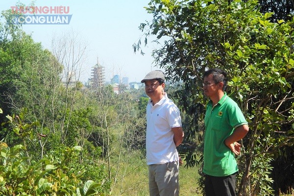 Ông Nguyễn Hữu Quế - chủ tịch UBND TP Pleiku (áo trắng) bày tỏ sự hài lòng khi tham quan thực tế tại farm
