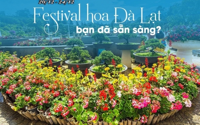 Festival Hoa Đà Lạt 2019: Diễn ra ngay dịp Giáng sinh về