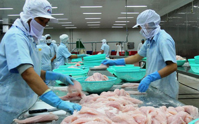 Xuất khẩu cá tra đạt 1,64 tỷ USD trong 10 tháng, giảm nhẹ so cùng kỳ
