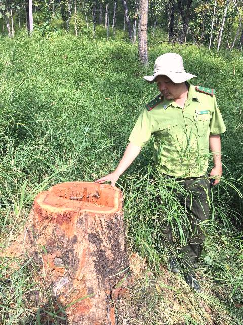 Kieemr laam kieemr tra ruwngf