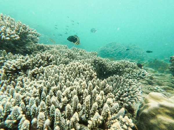 Đảo Ngọc Phú Quốc – Thiên đường có thực cho những kẻ say đắm hoàng hôn