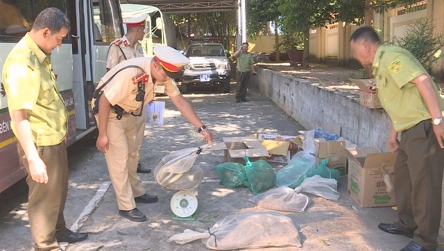 Lược luwowngnh dang điểm