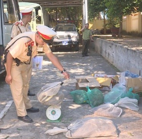 Lực lượng chức năng kiểm đếm số lượng tịch thu