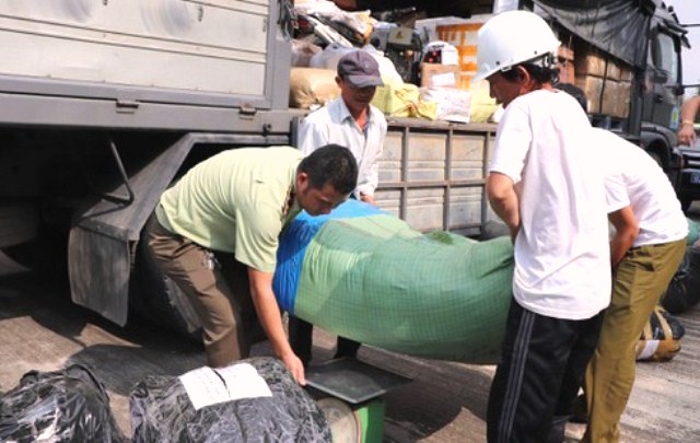 lương hoasd ha f qu&iacute;a