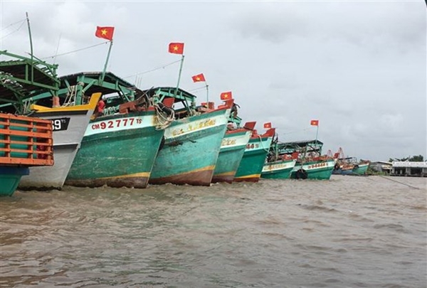Việt Nam đã cải thiện đáng kể trong việc theo dõi, kiểm soát, giám sát tàu cá (Ảnh TTXVN)