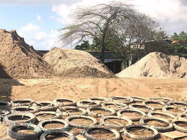 P. Khuê Mỹ, Q. Ngũ Hành Sơn (Đà Nẵng): Xử lý bãi tập kết cái trái phép theo kiểu “bắt cóc bỏ đĩa”