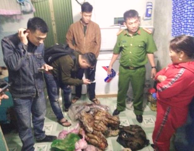 Kon Tum: Tạm giữ đối tượng tàng trữ số lượng lớn động vật hoang dã nguy cấp, quý, hiếm