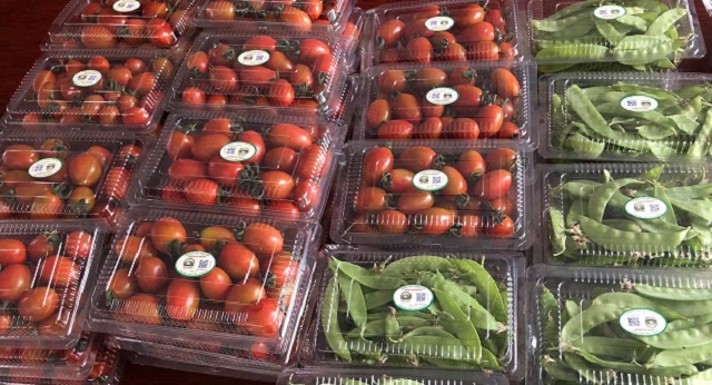 Nâng cao năng lực quản lý chất lượng để giữ vững uy tín thương hiệu nông sản Thanh Hóa