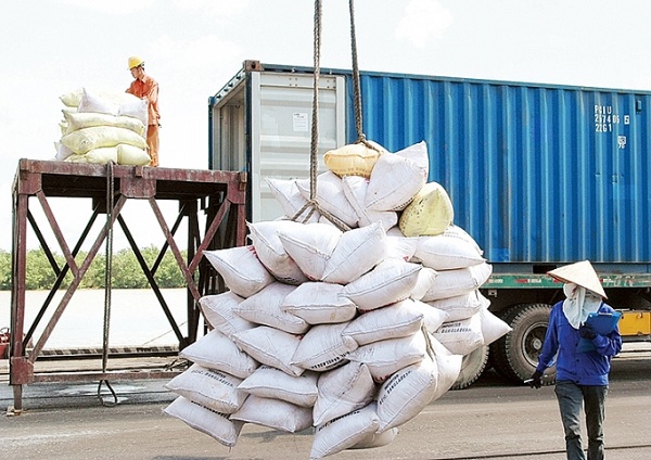 Xuất khẩu gạo đạt 928.798 tấn, tăng 31,7%