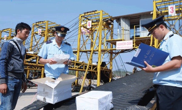 Từ 16/02 đến 15/03, lực lượng hải quan xử lý 1.130 vụ vi phạm