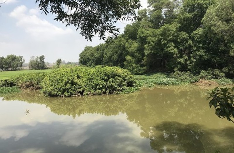 Đồng Nai: Tìm thấy thi thể người đàn ông mất tích trên sông