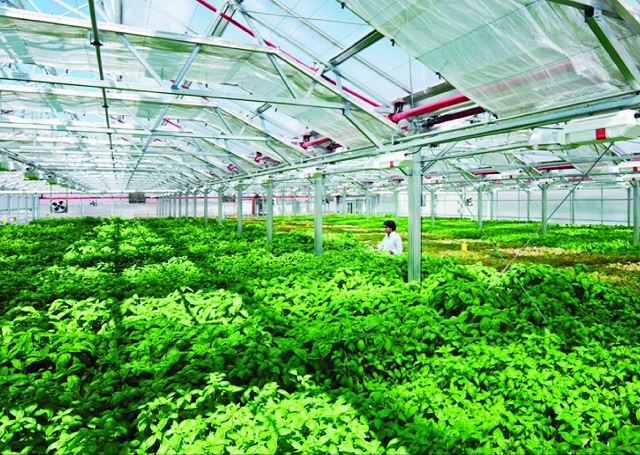 Thanh Hóa: Tăng cường kiểm tra, xử lý nghiêm các trường hợp lợi dụng dịch bệnh để trục lợi, kinh doanh vật tư nông nghiệp giả