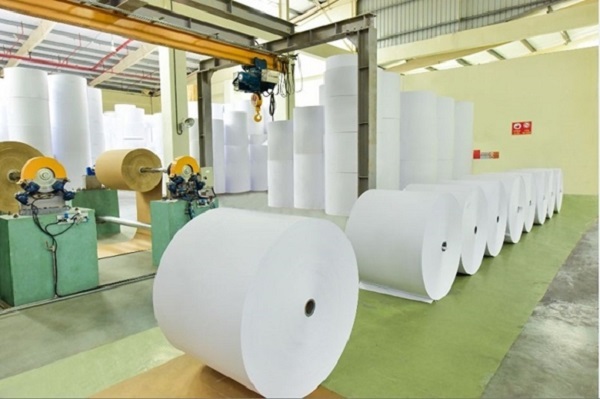 Ngành sản xuất giấy và sản phẩm từ giấy là đối tượng được bổ sung gia hạn (Ảnh minh họa)