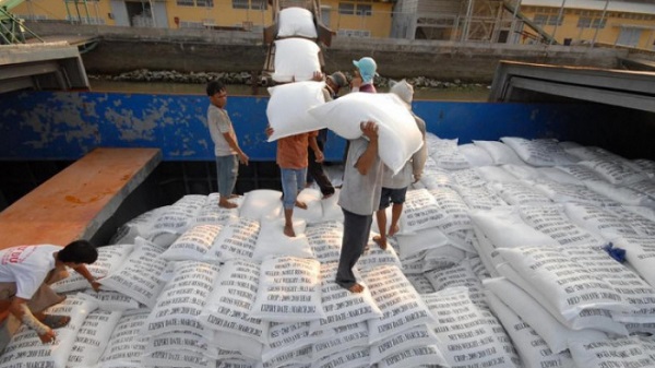 Tổ chức đấu thầu lại 180.000 tấn gạo dự trữ vì bị doanh nghiệp “xù”