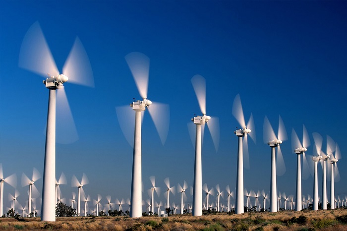 : Điện gió hiện là lĩnh vực năng lượng tái tạo đang được nhiều nhà đầu tư quan tâm.