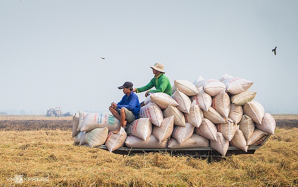 Cần Thơ “xin” tạm ứng quota xuất khẩu gạo tháng 5 với 200.000 tấn