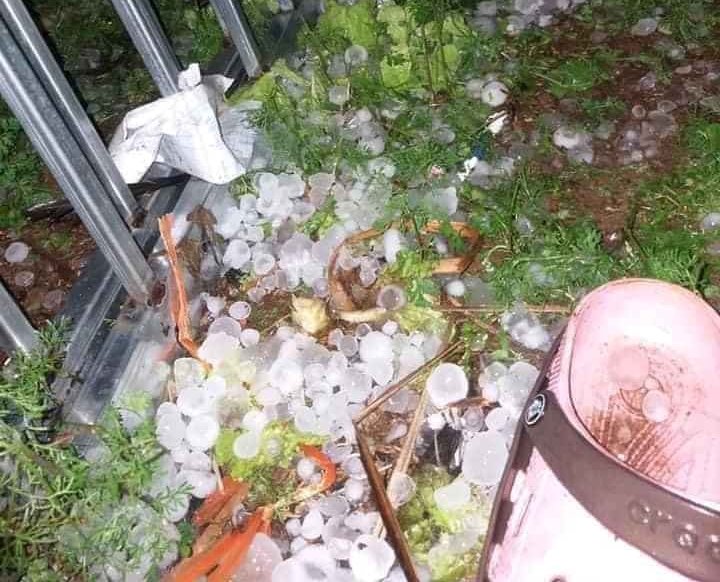 Nhiều tỉnh thành thiệt hại nặng nề do mưa, dông