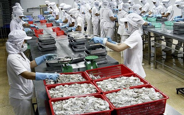Hết quý 1/2020, xuất khẩu mực, bạch tuộc đạt 107,4 triệu USD, giảm 24% so cùng kỳ năm ngoái