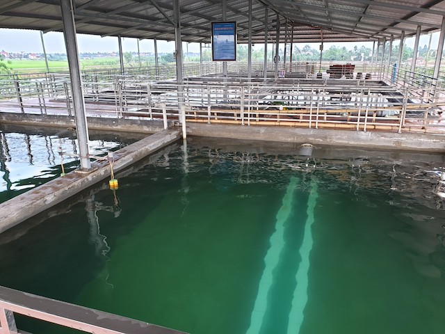 Khu vực bể lắng, bể lọc nước sạch của Công ty CP Thống Nhất