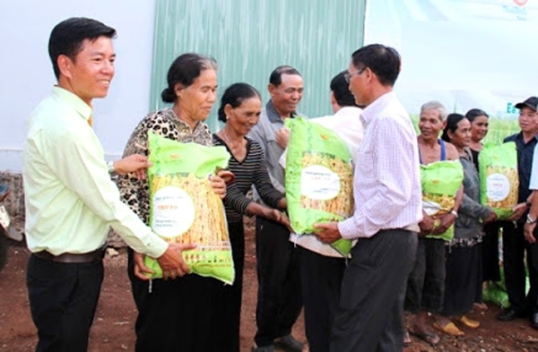 Vĩnh Phúc dành 16 tỷ đồng hỗ trợ lúa giống cho nông dân sản xuất vụ Mùa 2020