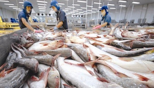 Khó có thể đưa ra dự báo chính xác cho XK cá tra sang ASEAN trong quý II/2020