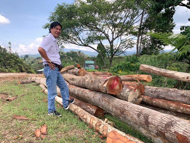 Thủ tướng yêu cầu xử lý nghiêm vụ phá rừng ở Kon Tum